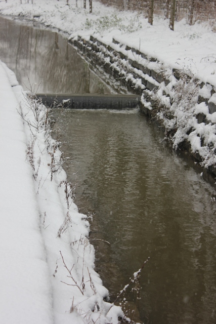 Hiver 2013 - Sous la neige